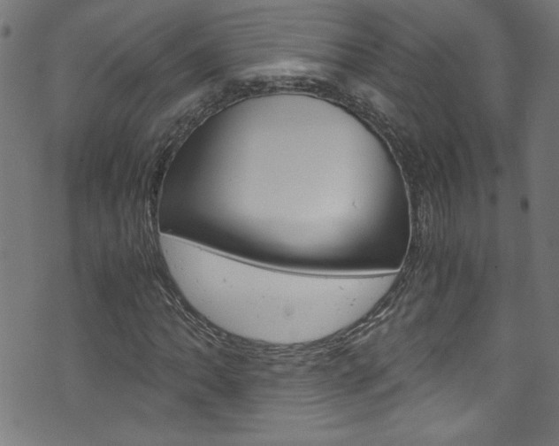 X0000071861062200606301056