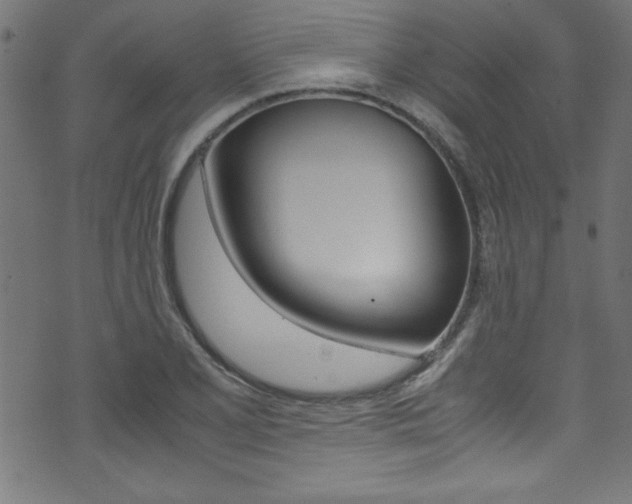 X0000071861077200606301056