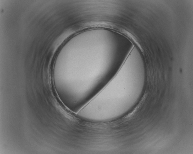 X0000071861082200606301056