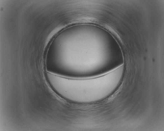 X0000071861085200606301056