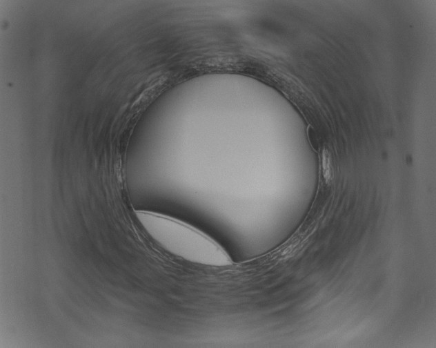 X0000071861107200606301055