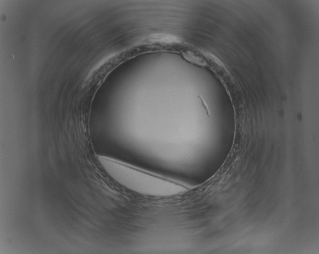 X0000071861112200606301055