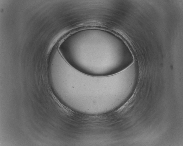 X0000071861115200606301055