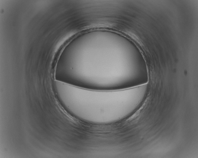 X0000071861119200606301055