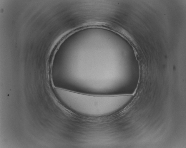 X0000071861124200606301055