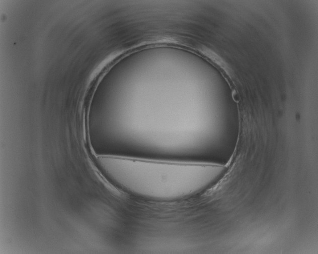 X0000071861127200606301055