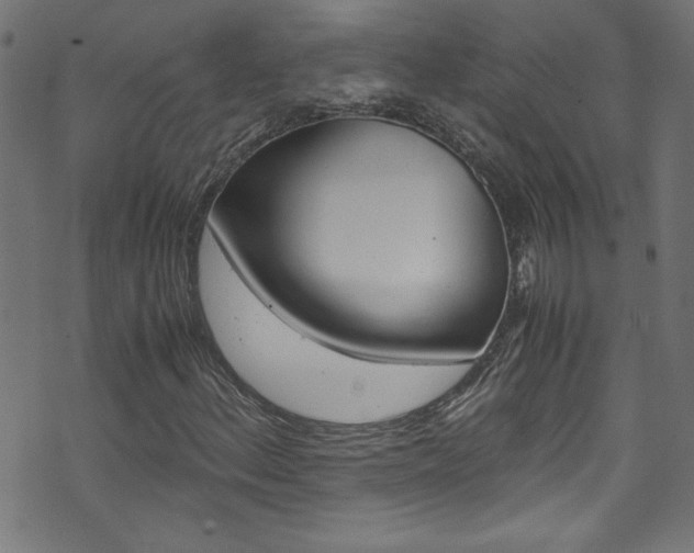 X0000071861156200606301055