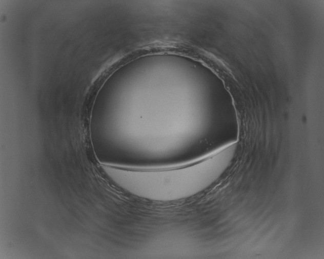 X0000071861160200606301055