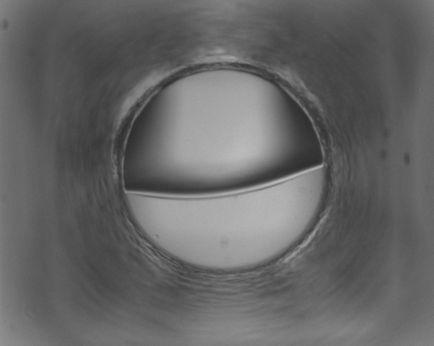 X0000071861167200606301054