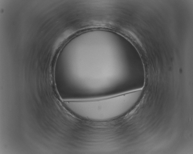X0000071861172200606301054