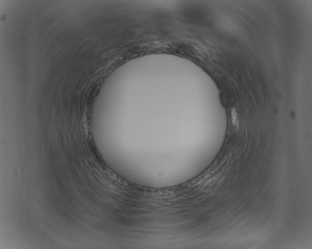 X0000071861203200606301053