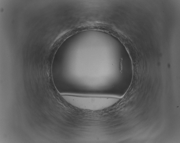 X0000071861206200606301053