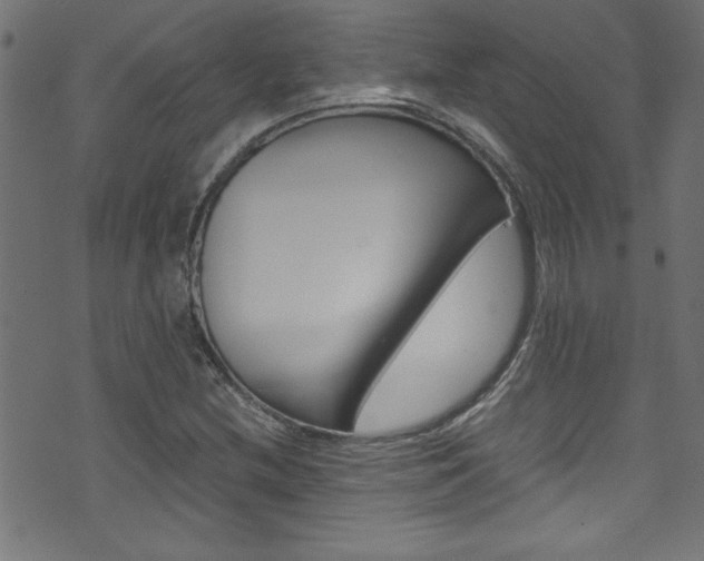 X0000071861212200606301053