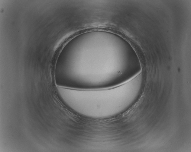 X0000071861214200606301053