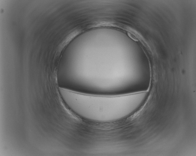 X0000071861241200606301054