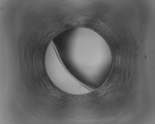 X0000071861250200606301053