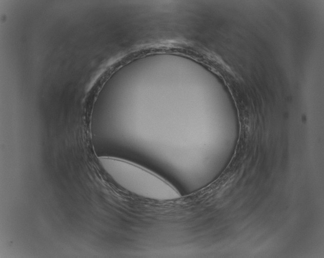 X0000071861256200606301053