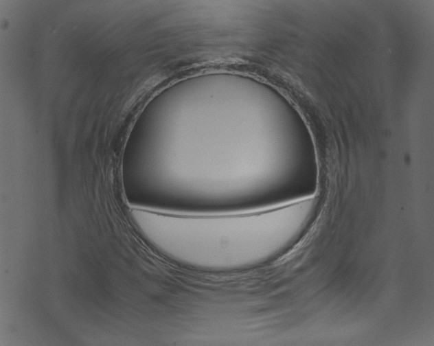 X0000071861257200606301053