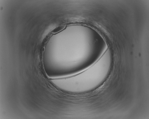 X0000071861261200606301053