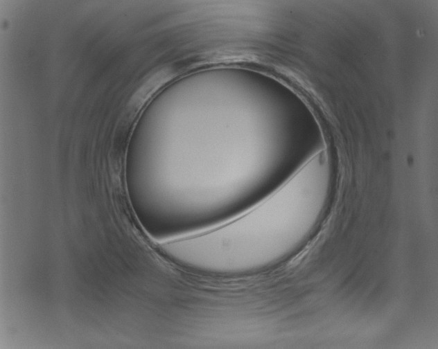 X0000071861273200606301053