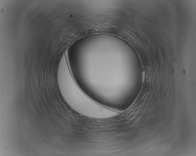 X0000071861298200606301052
