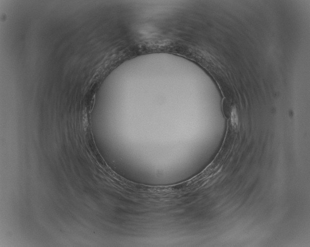 X0000071861299200606301052