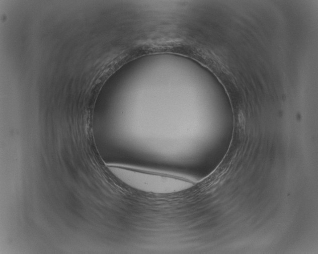 X0000071861300200606301052