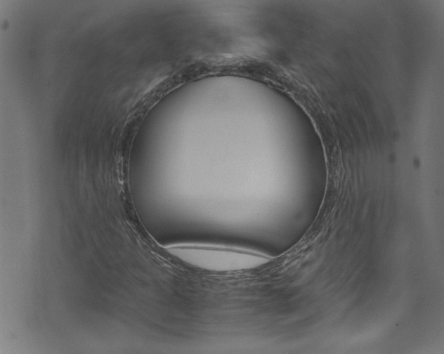 X0000071861301200606301052