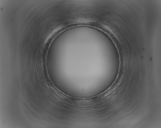 X0000071861307200606301052