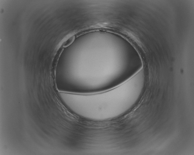 X0000071861308200606301052