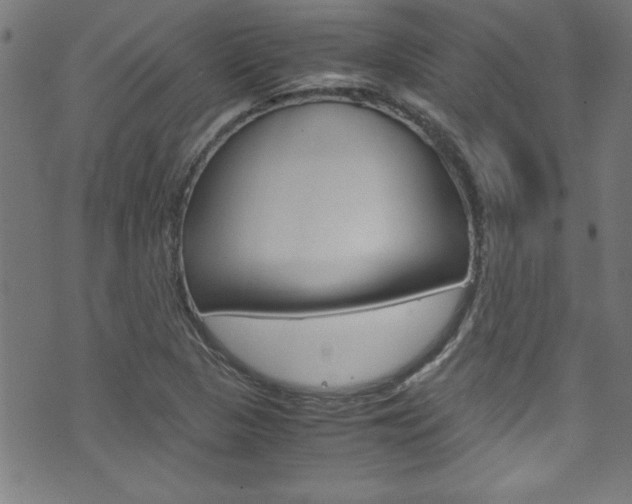 X0000071861313200606301052