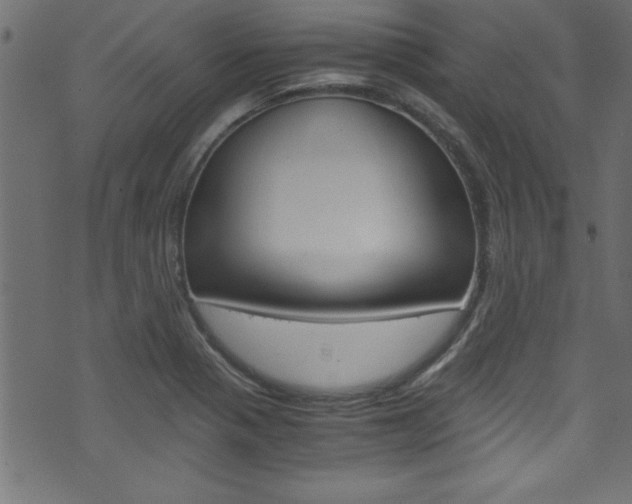X0000071861321200606301052