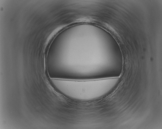 X0000071861323200606301052