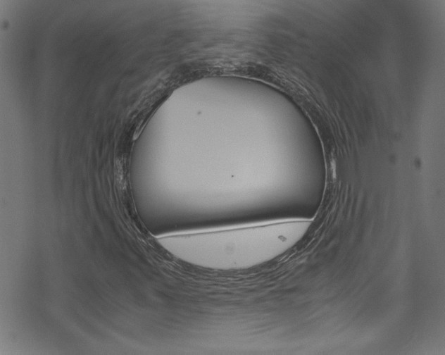 X0000071861347200606301051