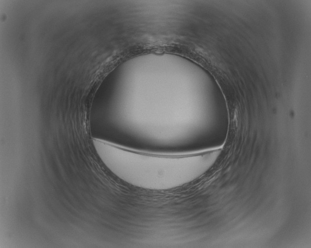 X0000071861348200606301051