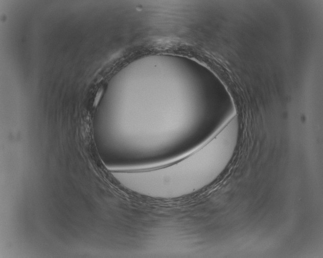 X0000071861349200606301051