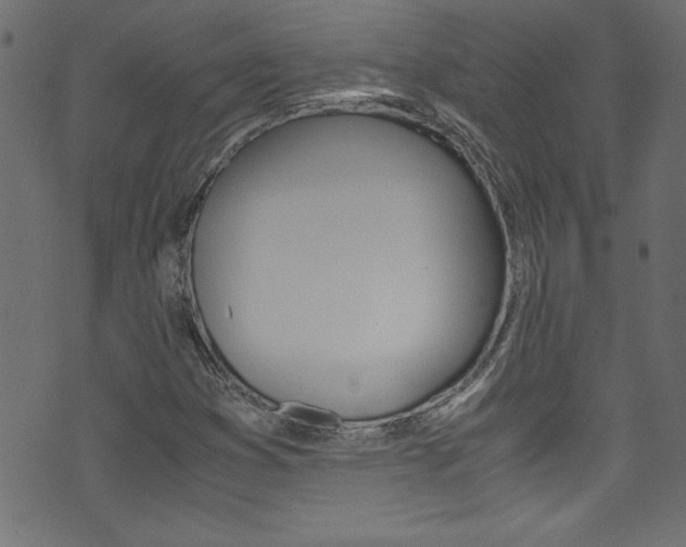 X0000071861353200606301051