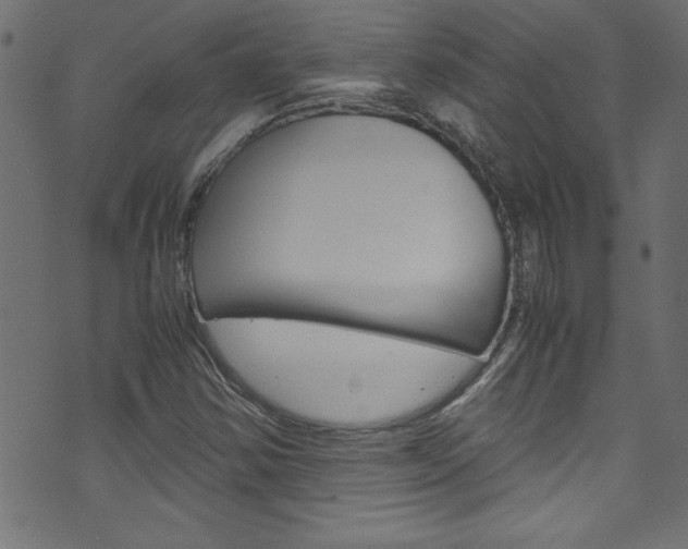 X0000071861354200606301051