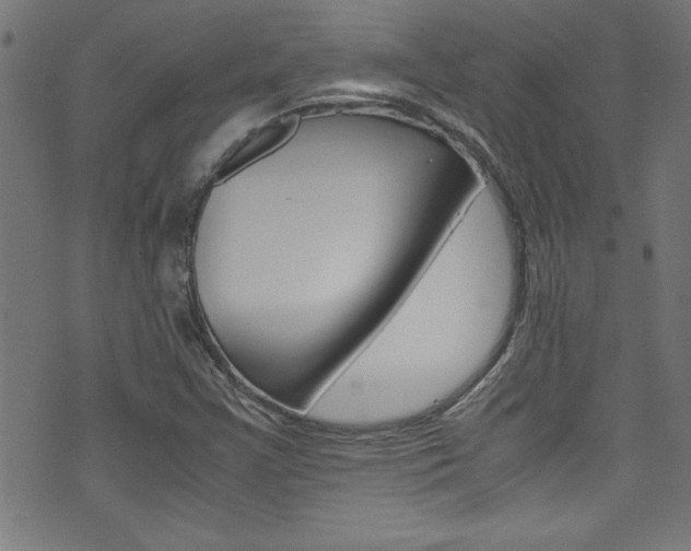 X0000071861355200606301051