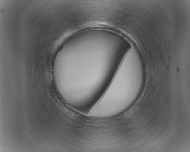 X0000071861363200606301051