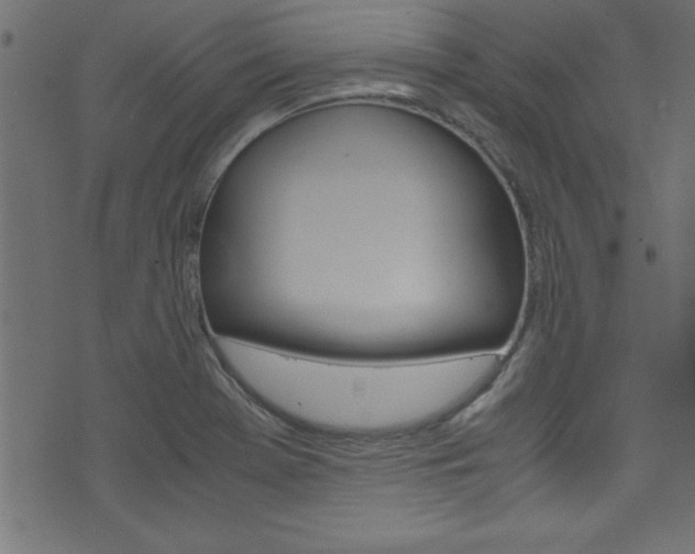 X0000071861369200606301051