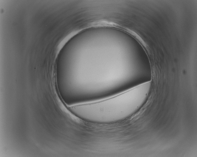 X0000071861387200606301051