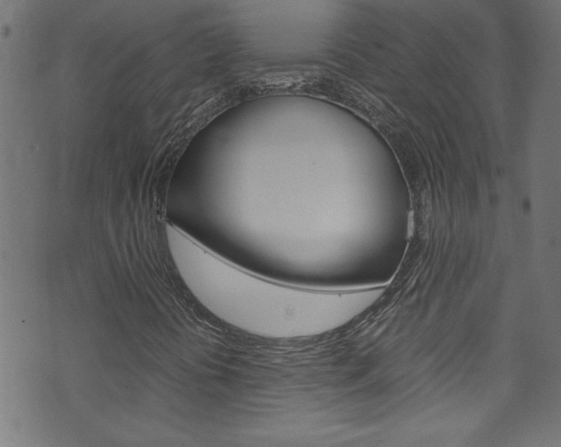 X0000071861394200606301050