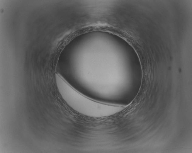 X0000071861398200606301050