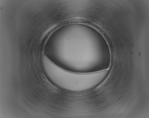 X0000071861402200606301050