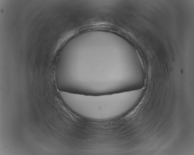 X0000071861405200606301050