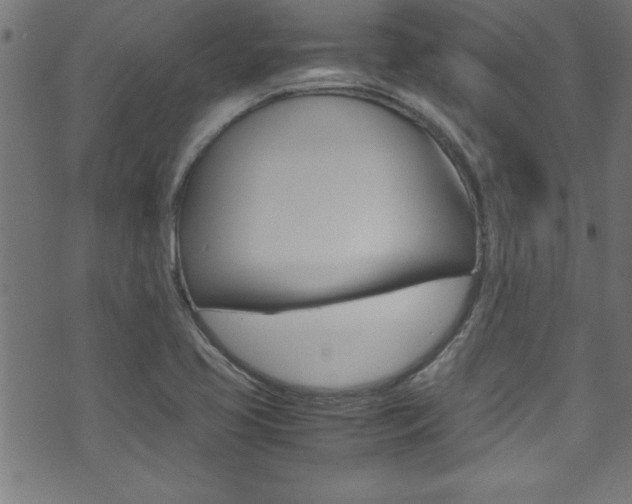 X0000071861413200606301050