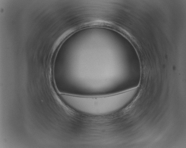 X0000071861418200606301050