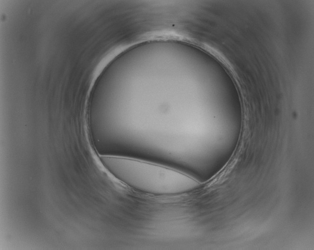 X0000071861440200606301051