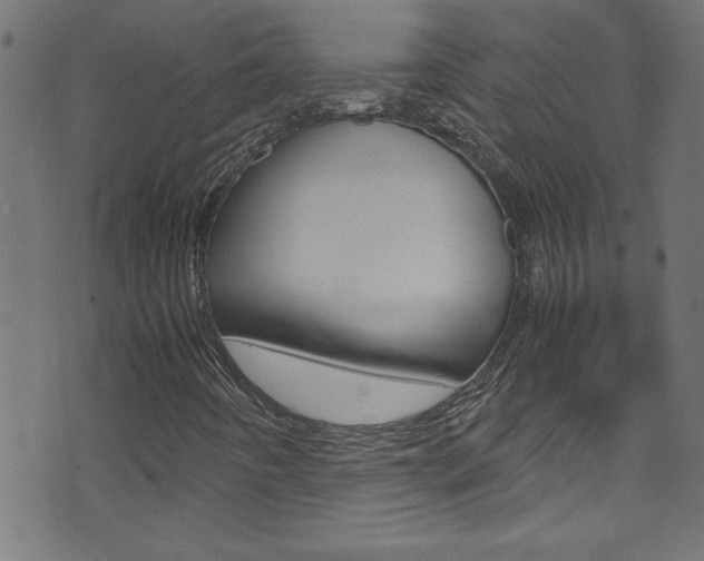 X0000071861442200606301050